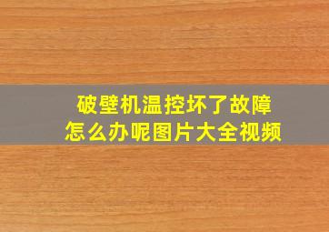 破壁机温控坏了故障怎么办呢图片大全视频