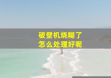 破壁机烧糊了怎么处理好呢