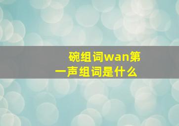 碗组词wan第一声组词是什么