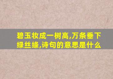 碧玉妆成一树高,万条垂下绿丝绦,诗句的意思是什么