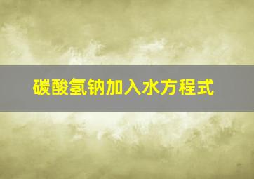 碳酸氢钠加入水方程式