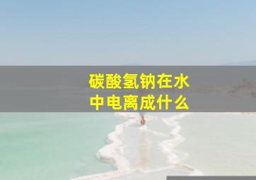 碳酸氢钠在水中电离成什么