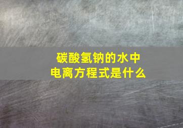 碳酸氢钠的水中电离方程式是什么