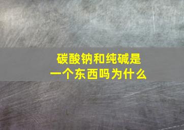 碳酸钠和纯碱是一个东西吗为什么