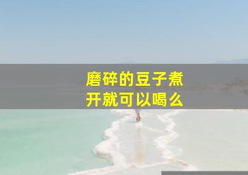 磨碎的豆子煮开就可以喝么