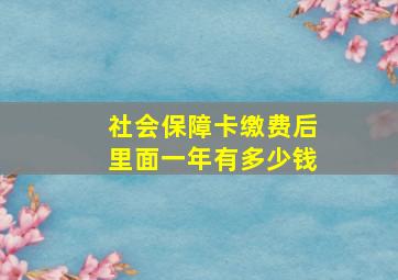 社会保障卡缴费后里面一年有多少钱