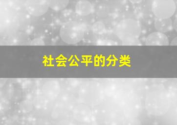 社会公平的分类