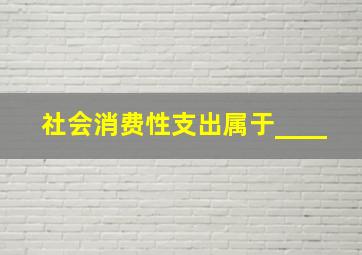 社会消费性支出属于____