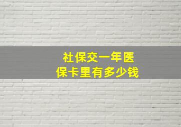 社保交一年医保卡里有多少钱