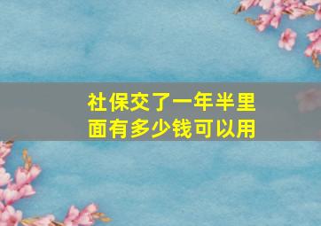 社保交了一年半里面有多少钱可以用