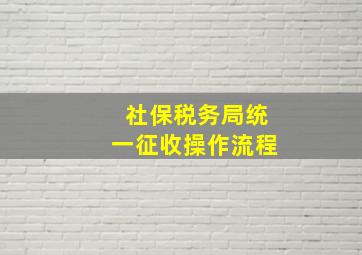 社保税务局统一征收操作流程