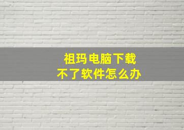 祖玛电脑下载不了软件怎么办