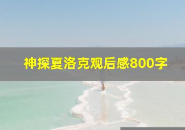 神探夏洛克观后感800字