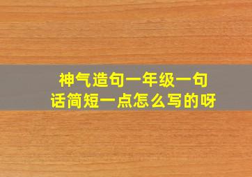 神气造句一年级一句话简短一点怎么写的呀