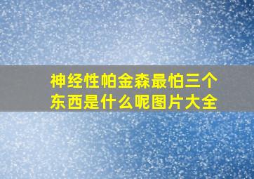 神经性帕金森最怕三个东西是什么呢图片大全