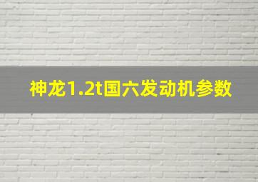 神龙1.2t国六发动机参数