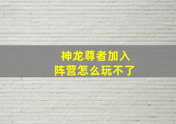 神龙尊者加入阵营怎么玩不了