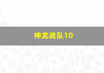 神龙战队10