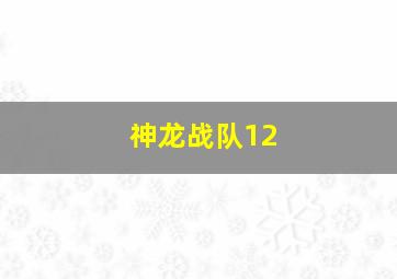 神龙战队12