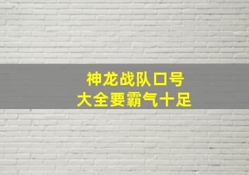 神龙战队口号大全要霸气十足