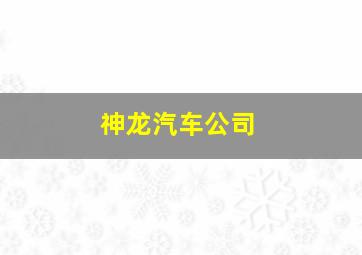 神龙汽车公司