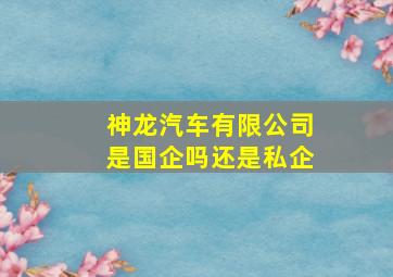 神龙汽车有限公司是国企吗还是私企