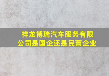 祥龙博瑞汽车服务有限公司是国企还是民营企业