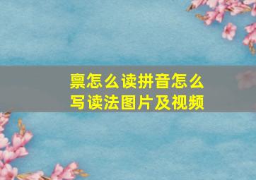 禀怎么读拼音怎么写读法图片及视频