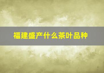 福建盛产什么茶叶品种