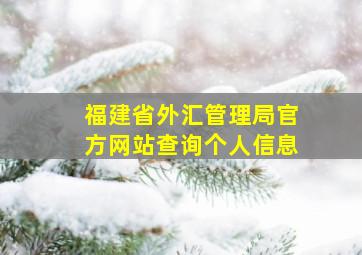 福建省外汇管理局官方网站查询个人信息