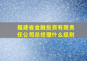 福建省金融投资有限责任公司总经理什么级别