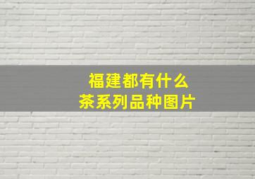 福建都有什么茶系列品种图片