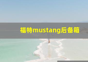 福特mustang后备箱