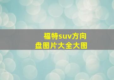 福特suv方向盘图片大全大图