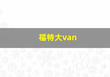 福特大van