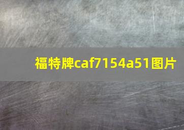 福特牌caf7154a51图片