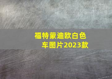 福特蒙迪欧白色车图片2023款