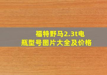 福特野马2.3t电瓶型号图片大全及价格