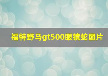 福特野马gt500眼镜蛇图片