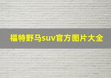 福特野马suv官方图片大全