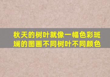 秋天的树叶就像一幅色彩斑斓的图画不同树叶不同颜色