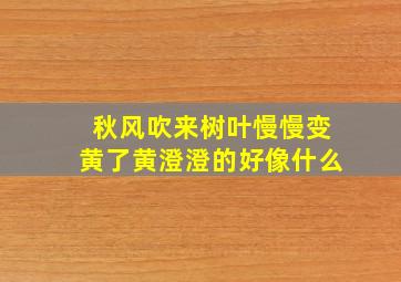 秋风吹来树叶慢慢变黄了黄澄澄的好像什么