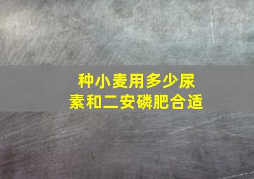 种小麦用多少尿素和二安磷肥合适