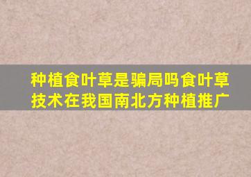 种植食叶草是骗局吗食叶草技术在我国南北方种植推广