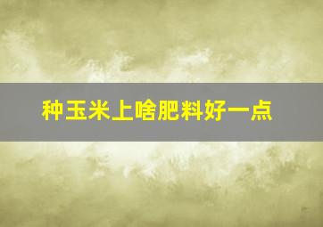 种玉米上啥肥料好一点