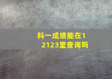 科一成绩能在12123里查询吗