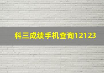 科三成绩手机查询12123