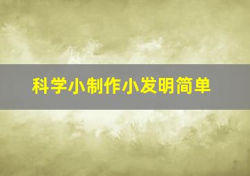 科学小制作小发明简单