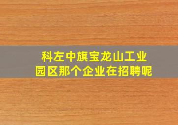 科左中旗宝龙山工业园区那个企业在招聘呢