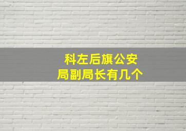 科左后旗公安局副局长有几个